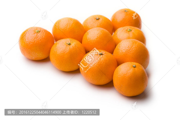 Tangerine夜店白色隔離