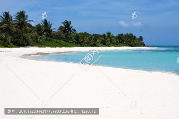 弗拉門戈海灘波多黎各庫萊布拉島