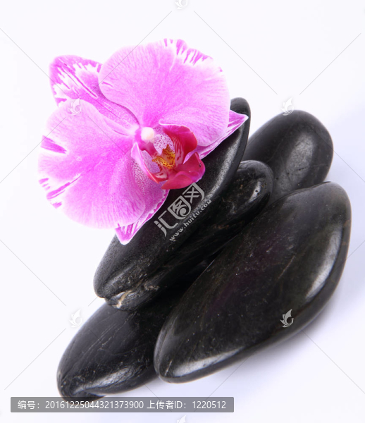 溫泉石和蘭花