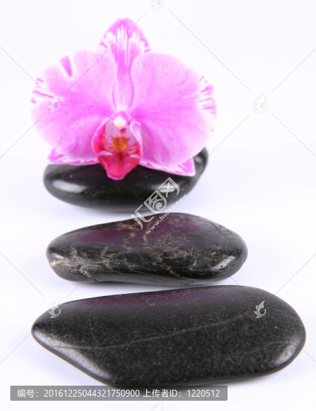 溫泉石和蘭花