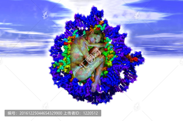 DNA的起源