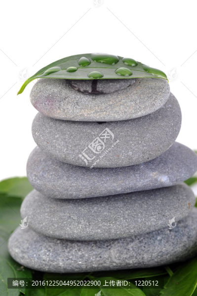 石頭和綠葉