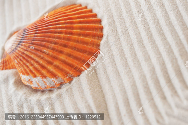 海砂輕舟