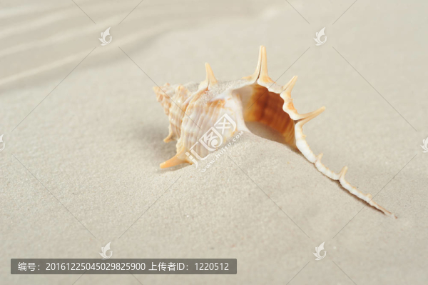 小船在沙灘上