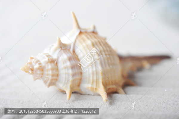 海砂輕舟
