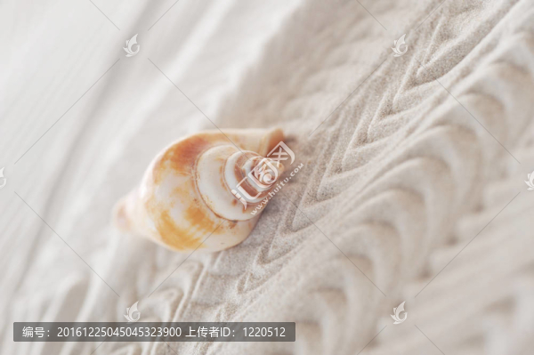 海砂輕舟
