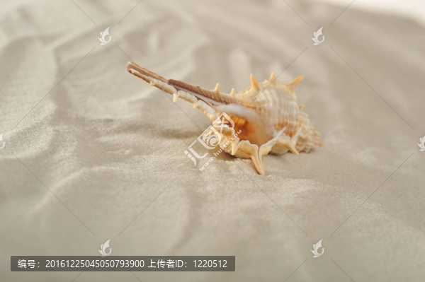 小船在沙灘上
