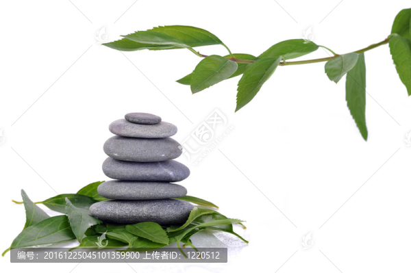 石頭和綠葉