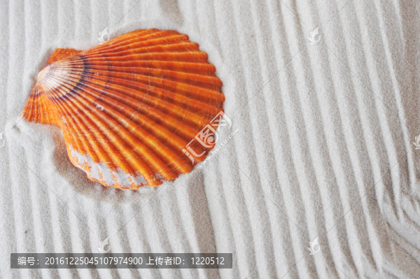 海砂輕舟
