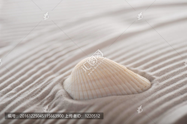 海砂輕舟