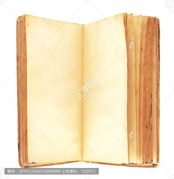 一本空白頁發(fā)黃的舊書