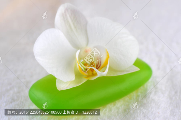 綠肥皂和蘭花特寫(xiě)
