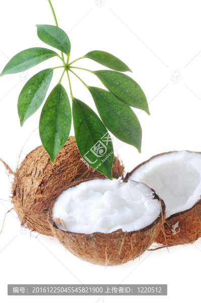 破碎的成熟的椰子