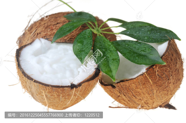 椰子葉