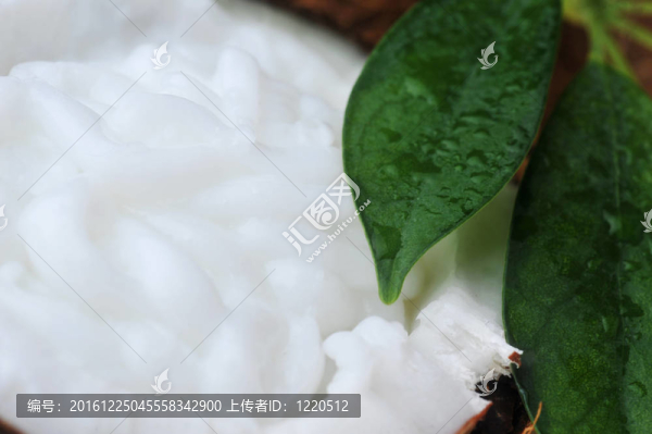 椰子葉