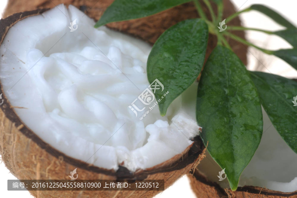 椰子葉
