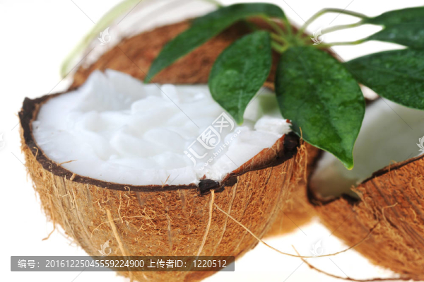 椰子葉