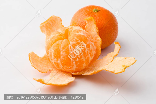 白孤立國語