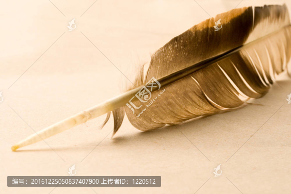 紙背景羽毛