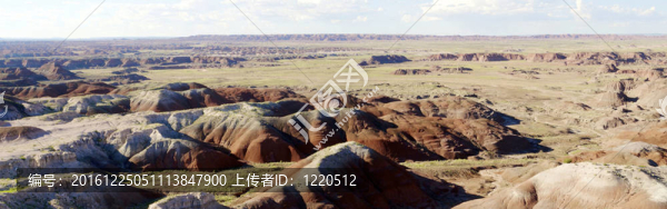 沙漠景觀