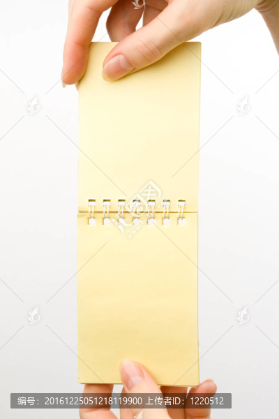 手和記事本孤立在白色