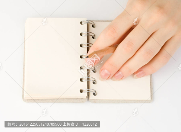 手和記事本孤立在白色