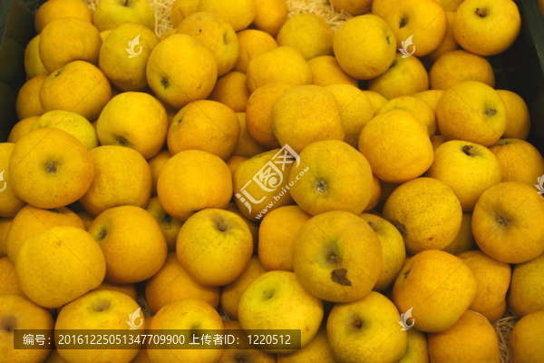 蘋(píng)果顯示器？talage,de,pommes