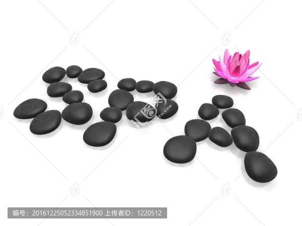 SPA的插圖