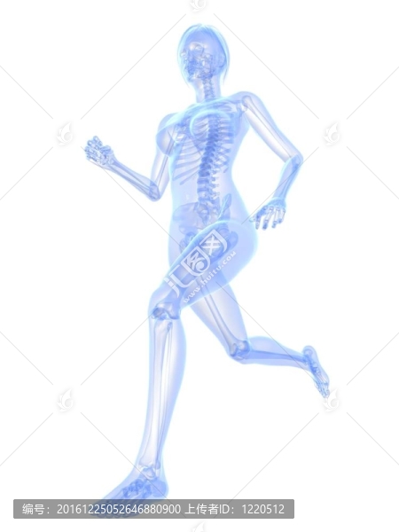 女性慢跑者