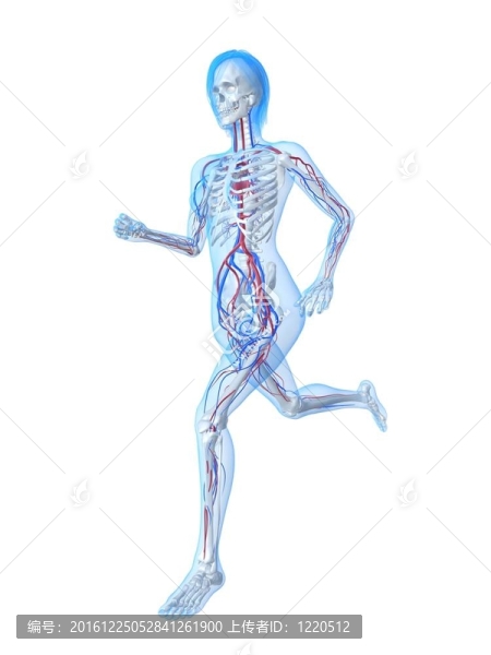 女性慢跑者