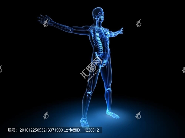 X射線的男模