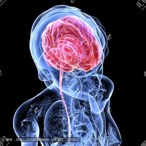 腦腫瘤