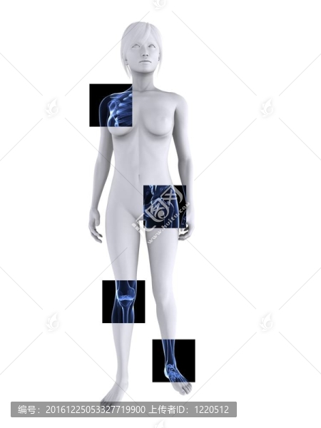 X射線的女性骨架