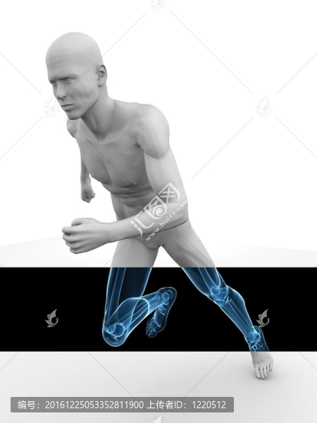 3D模型-慢跑