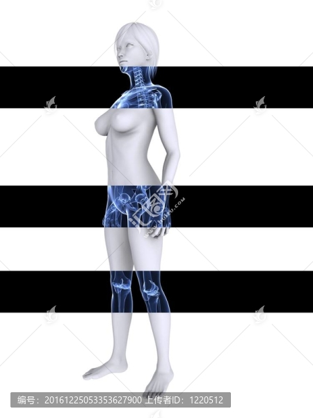 X射線的女性骨架