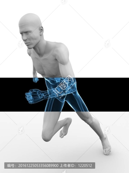 3D模型-慢跑