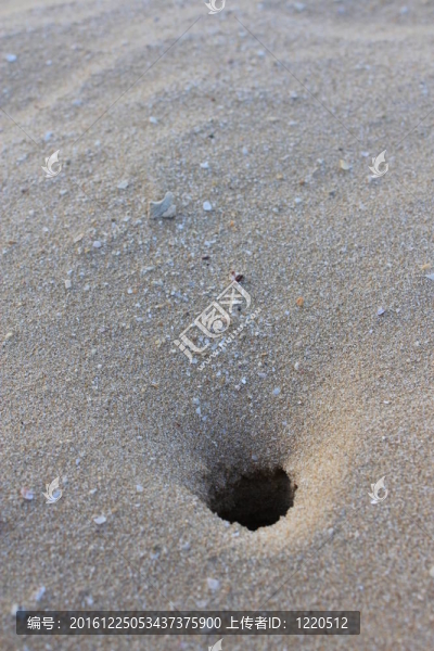 海灘沙洞