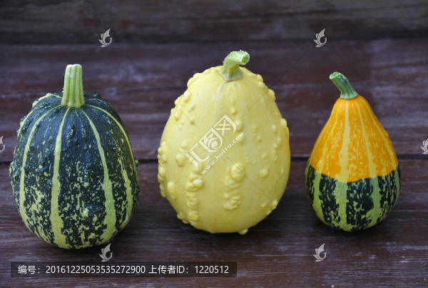 裝飾南瓜