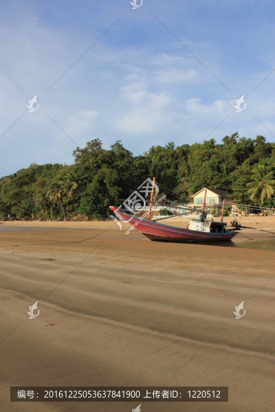 海灘風(fēng)景