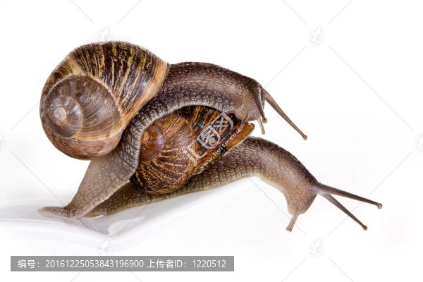 讓我通過