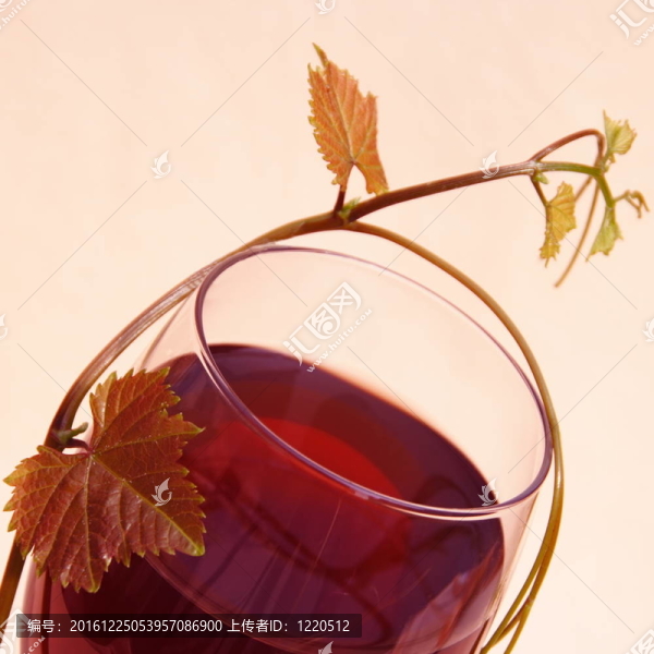 葡萄酒中的紅酒和葡萄葉