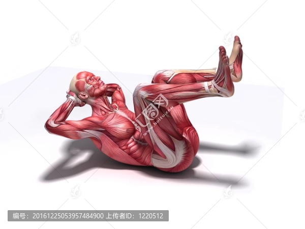 緊縮腹肌鍛煉