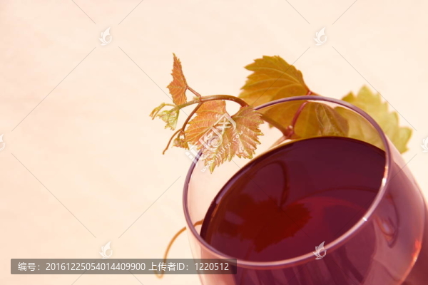 葡萄酒中的紅酒和葡萄葉