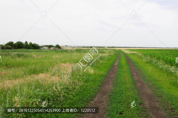 通往村莊的路