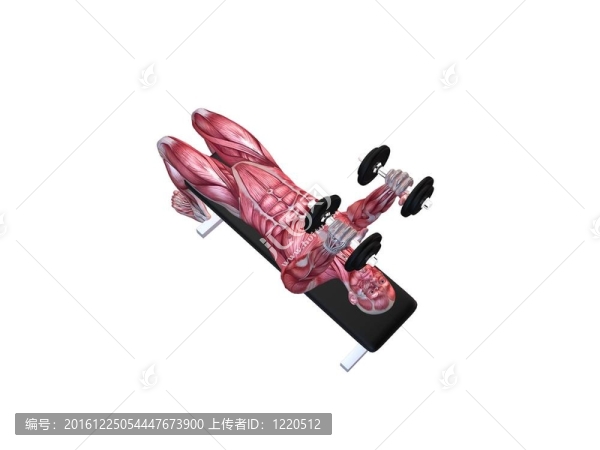 肱三頭肌鍛煉