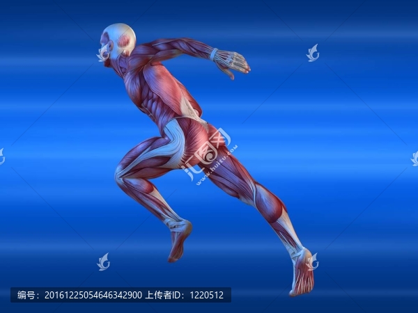 男子短跑運(yùn)動員