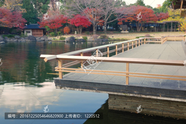 日本的池塘