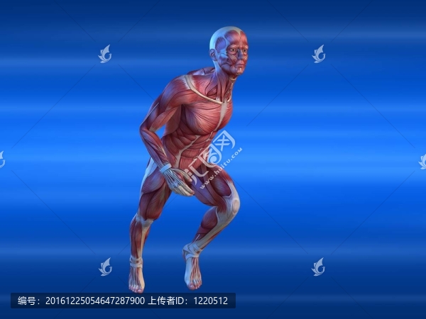 男子短跑運動員