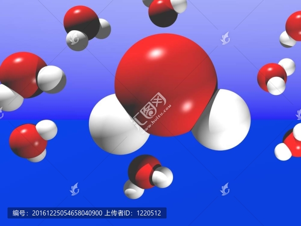 水分子