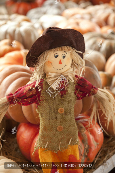 感恩Doll,Scarecrow